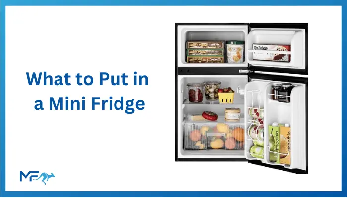 what to put in a mini fridge